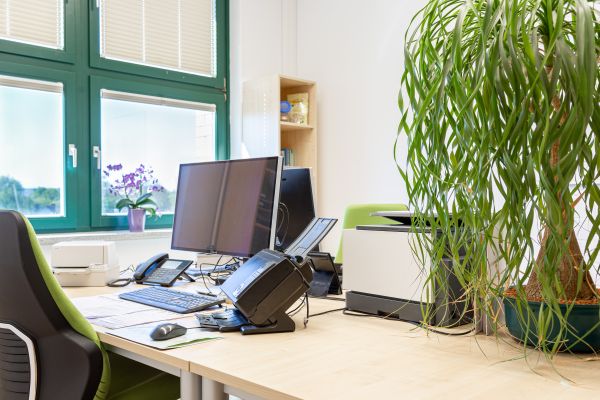 B&uuml;rokraft / kaufm&auml;nnische Fachkraft (m/w/d)